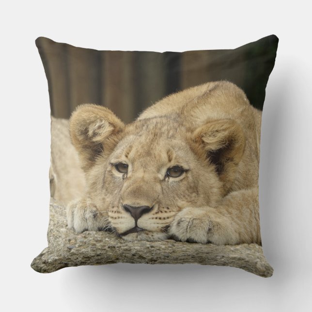 Lion 040 kissen (Vorderseite)
