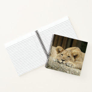 Lion 040 notizblock