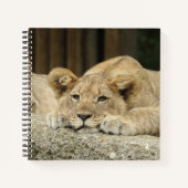 Lion 040 notizblock (Vorderseite)