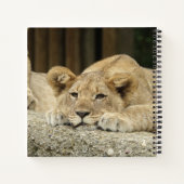 Lion 040 notizblock (Rückseite)