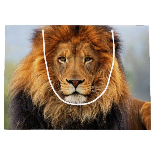 Lion 1 große geschenktüte (Vorderseite)