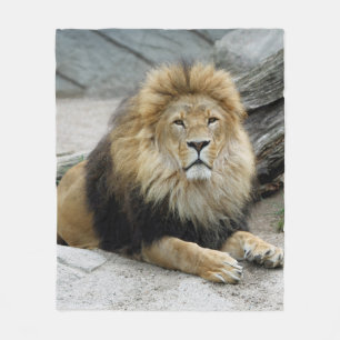 Lion_2014_1001 Fleecedecke