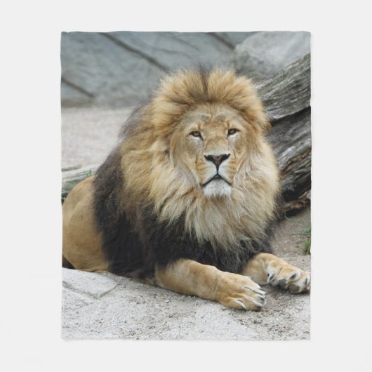 Lion_2014_1001 Fleecedecke (Vorderseite)