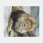 Lion_2014_1001 Fleecedecke (Vorderseite (Horizontal))