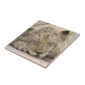 Lion_2014_1201 Fliese (Seite)
