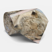 Lion_2014_1201 Krawatte (Gerollt)