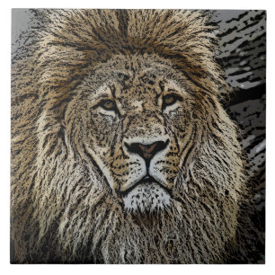 Lion_2015_0501 Fliese