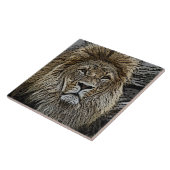 Lion_2015_0501 Fliese (Seite)