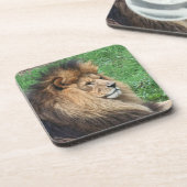 Lion_2015_0701 Untersetzer (Linke Seite)