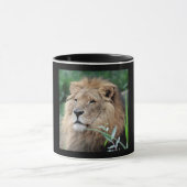 Lion_2015_0801 Tasse (Zentrum)