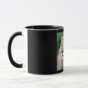 Lion_2015_0801 Tasse