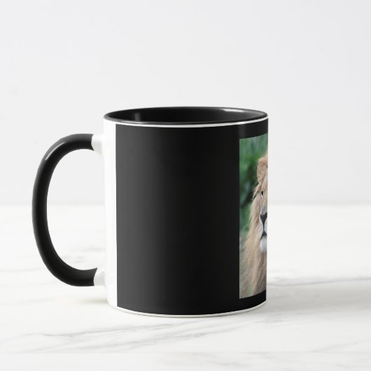 Lion_2015_0801 Tasse (Links)