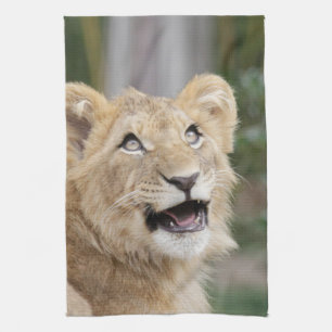 Lion_20200906_by_JAMFoto Geschirrtuch