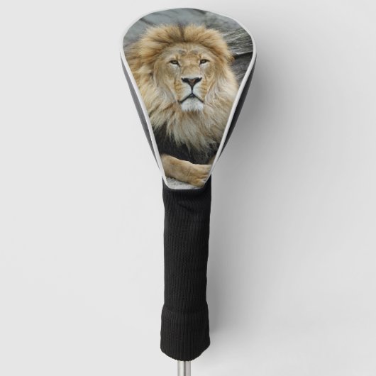Lion_2023-02 Golf Headcover (Vorderseite)