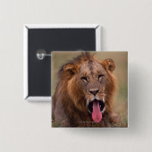 Lion 2 button (Vorne & Hinten)