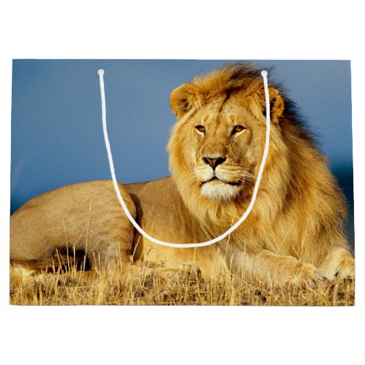 Lion 2 große geschenktüte (Vorderseite)