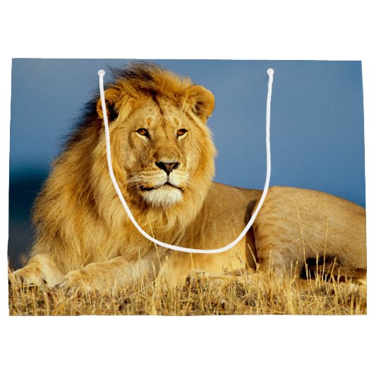 Lion 2 große geschenktüte (Rückseite)