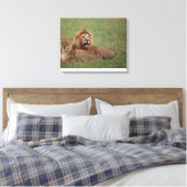 Lion 2 leinwanddruck (Insitu (Schlafzimmer))