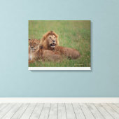 Lion 2 leinwanddruck (Insitu (Holzboden))