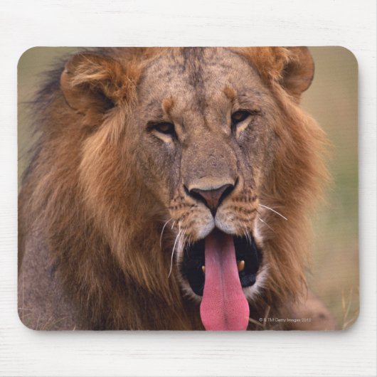 Lion 2 mousepad (Vorne)