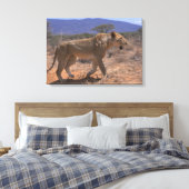 Lion 3 leinwanddruck (Insitu (Schlafzimmer))