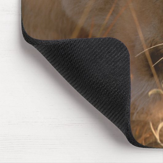 Lion 3 mousepad (Ecke)