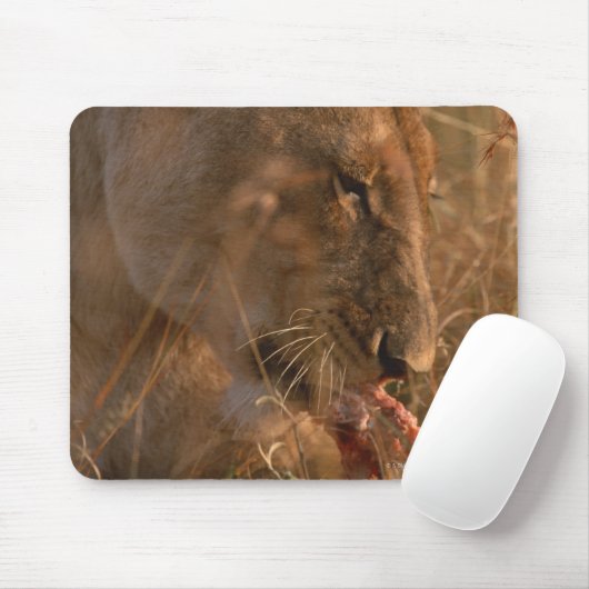 Lion 3 mousepad (Mit Mouse)