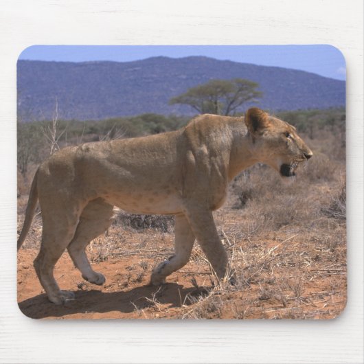 Lion 3 mousepad (Vorne)