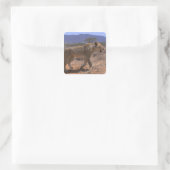 Lion 3 quadratischer aufkleber (Tasche)