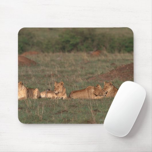 Lion 4 mousepad (Mit Mouse)