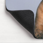 Lion 4 mousepad (Ecke)