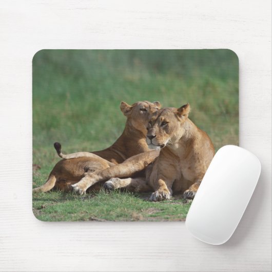 Lion 5 mousepad (Mit Mouse)