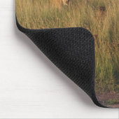 Lion 6 mousepad (Ecke)