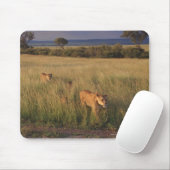 Lion 6 mousepad (Mit Mouse)