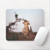 Lion 7 mousepad (Mit Mouse)