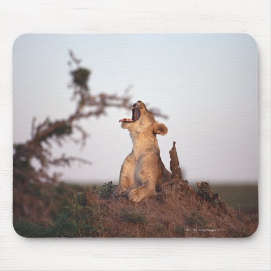 Lion 7 mousepad (Vorne)