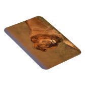Lion 8 magnet (Rechte Seite)