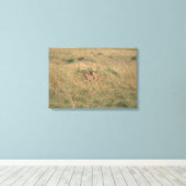 Lion 9 leinwanddruck (Insitu (Holzboden))