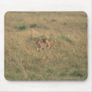 Lion 9 mousepad