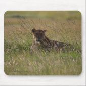 Lion Africa Savannah Mousepad (Vorne)