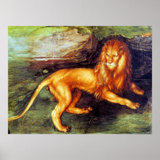 Lion - Albrecht Durer - c1494 Poster (Vorne)