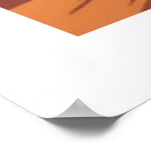 Lion and Llama Dash Poster (Ecke)