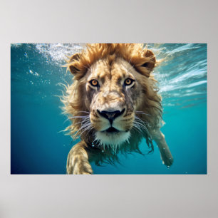 Lion Animal Fun Nature Wasserspielen Poster