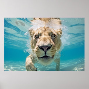 Lion Animal Fun Nature Wasserspielen Poster