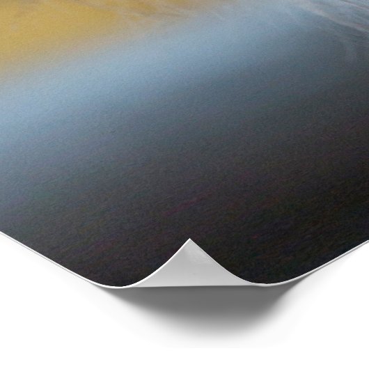 Lion Animal Wall Poster (Ecke)