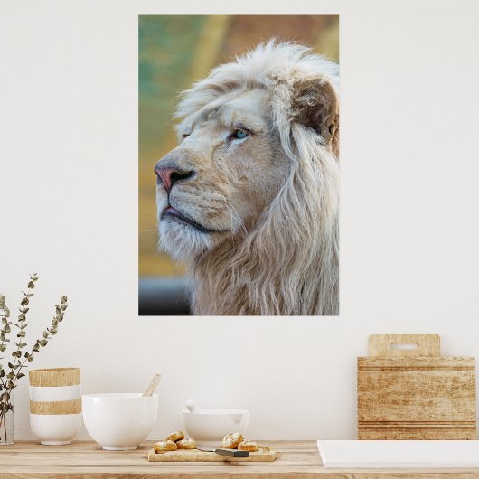 Lion Animal Wall Poster (Küche)