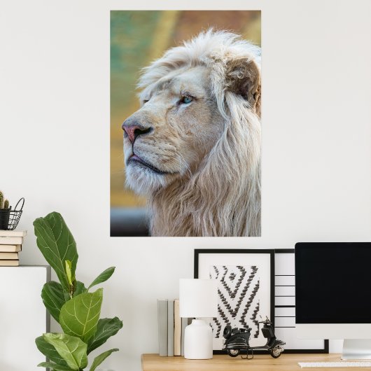 Lion Animal Wall Poster (Heimbüro)