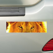 Lion Autoaufkleber (Auf Auto)