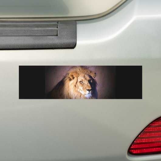 Lion Autoaufkleber (Auf Auto)