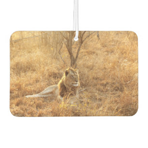 Lion Autolufterfrischer